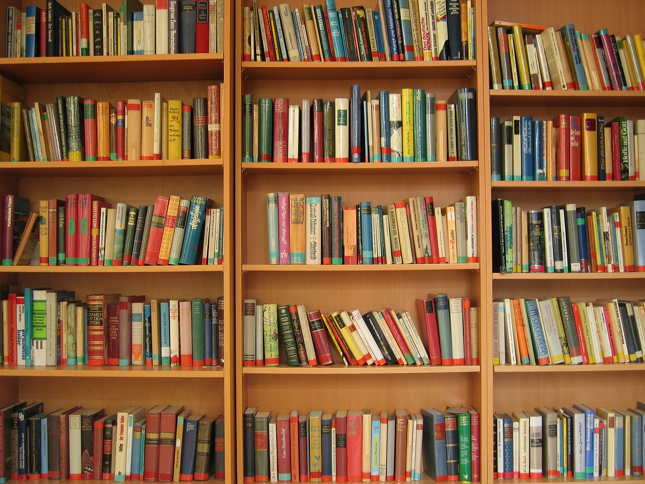 Books on bookshelves